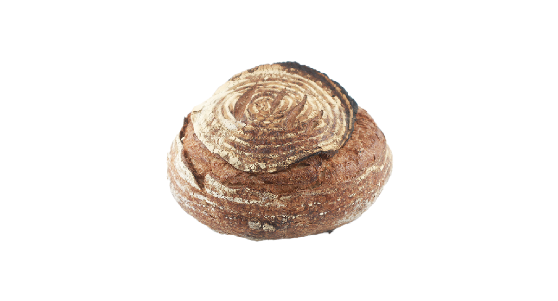 SOURDOUGH WHOLE WHEAT BREAD