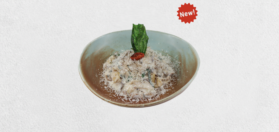 FETTUCINE AI FUNGHI PORCINI 